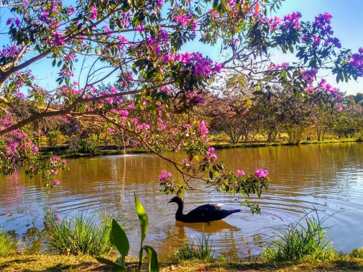 Pousada Chales Do Retiro - Serra Do Cipo Mg Jaboticatubas Kültér fotó